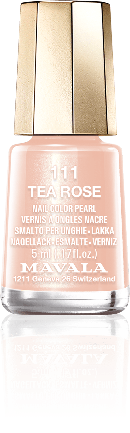 Tea Rose — A rose, delicately highlighted with gold dust 