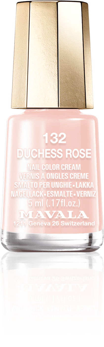 Duchess Rose — The grace of a diaphanous noble pink